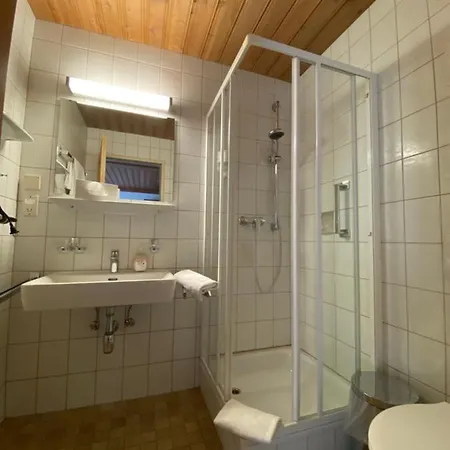 Steinbacher Guest house Bad Gastein